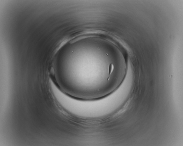 X0000114091369200910051417