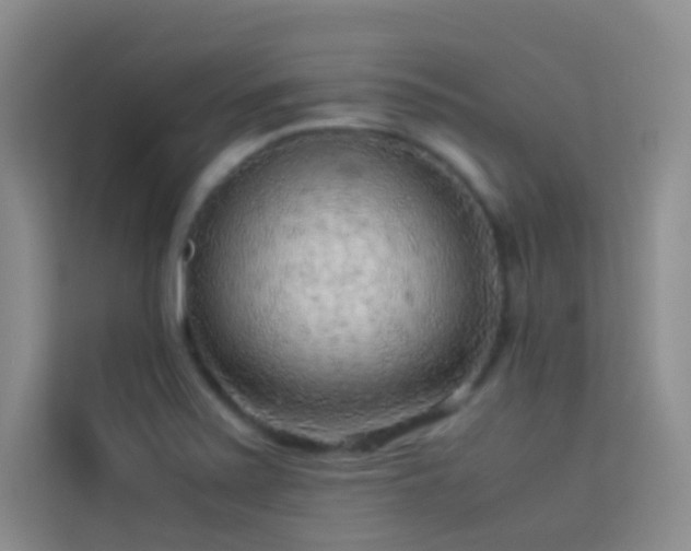 X0000114091371200910051416