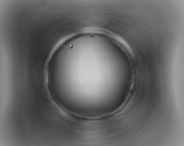 X0000114091376200910051416