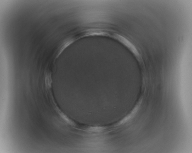 X0000114091377200910051416