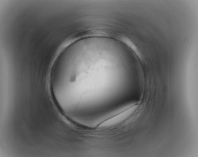 X0000114091379200910051416