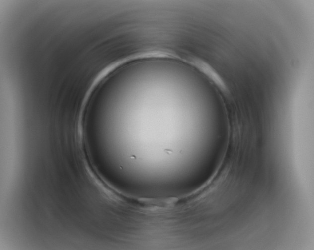 X0000114091380200910051416