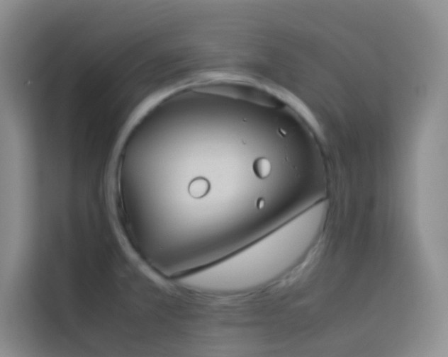 X0000114091381200910051416