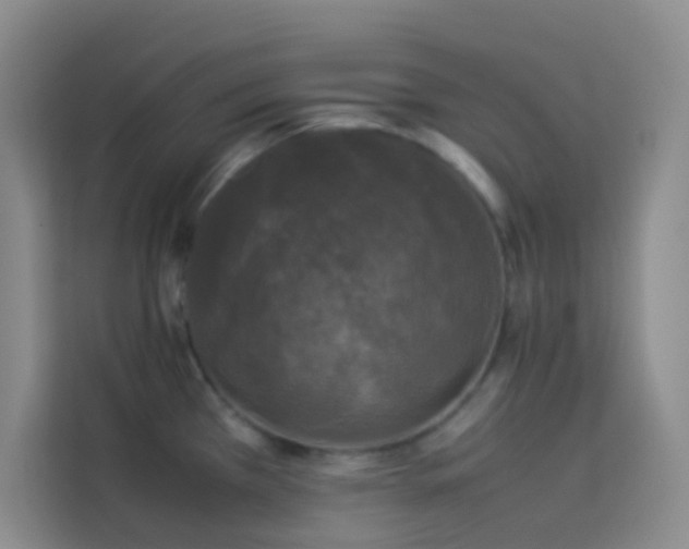 X0000114091385200910051416