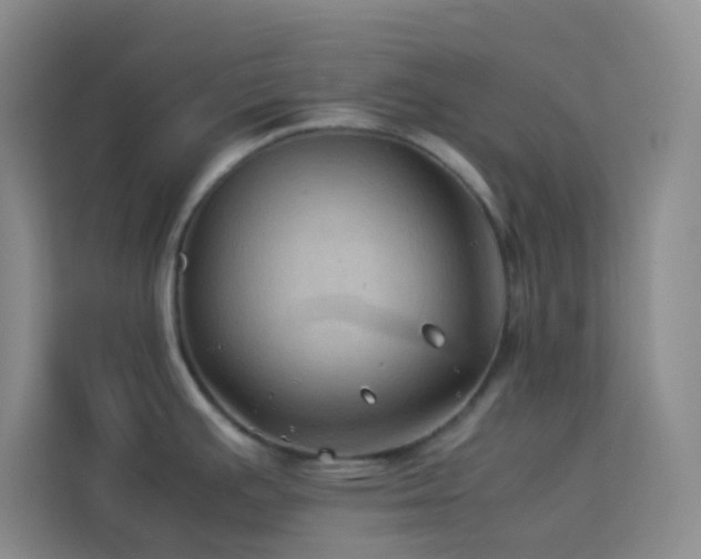X0000114091391200910051416