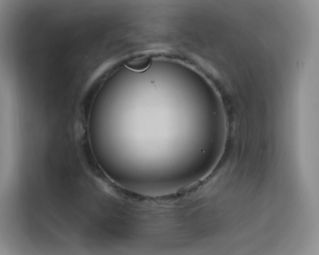 X0000114091400200910051416