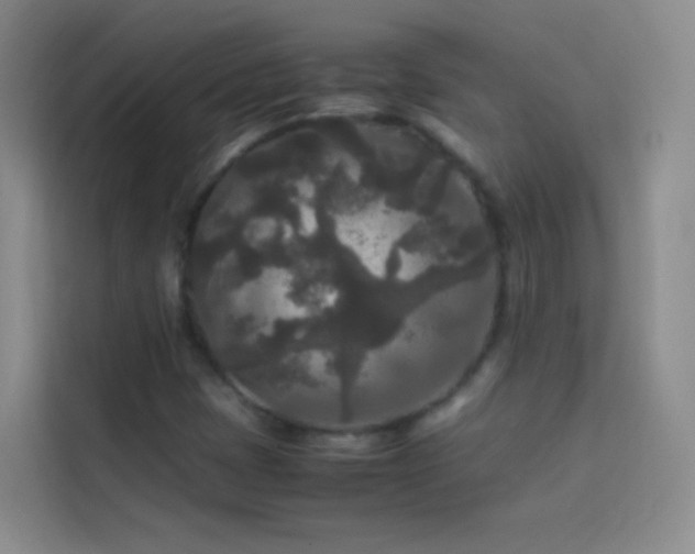 X0000114091401200910051416