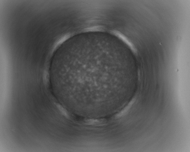 X0000114091405200910051416