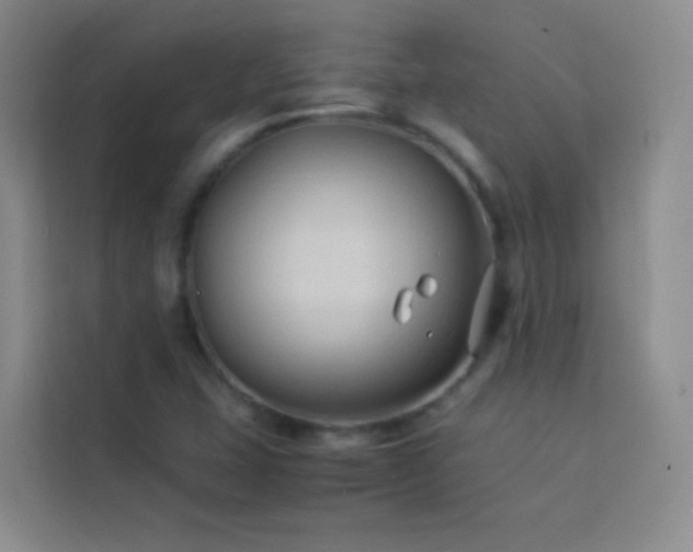 X0000114091407200910051416