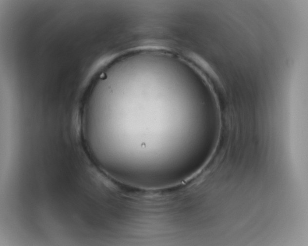 X0000114091408200910051416