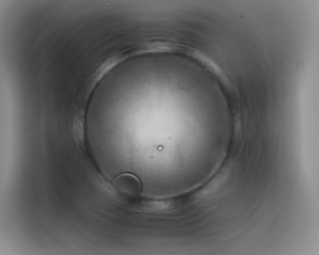 X0000114091409200910051416