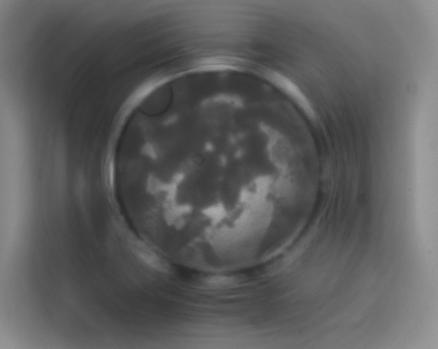 X0000114091419200910051416