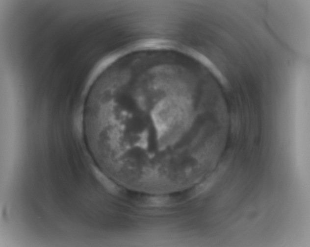 X0000114091421200910051416