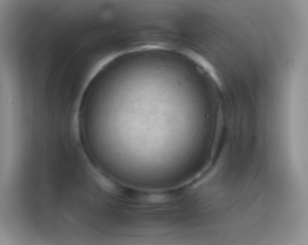 X0000114091423200910051416