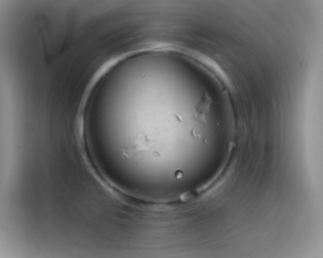 X0000114091424200910051416