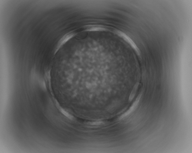 X0000114091425200910051416