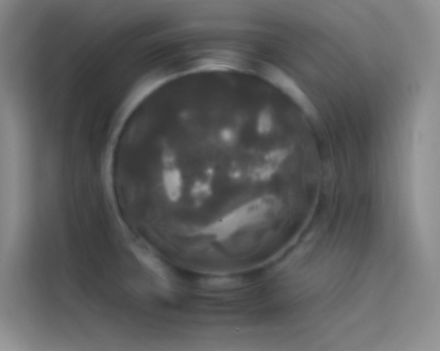 X0000114091427200910051416