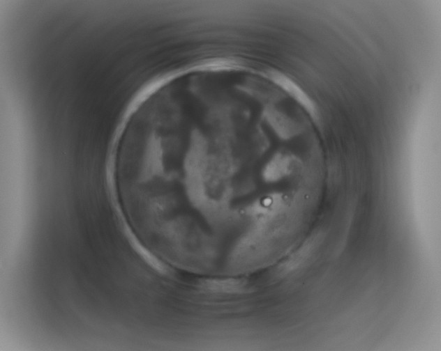 X0000114091429200910051416