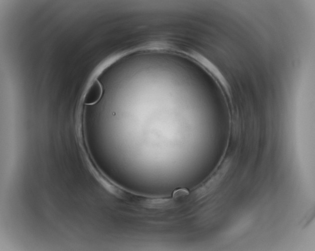 X0000114091437200910051416
