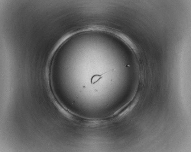 X0000114091438200910051416