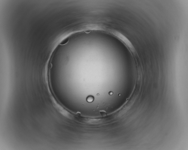 X0000114091439200910051416