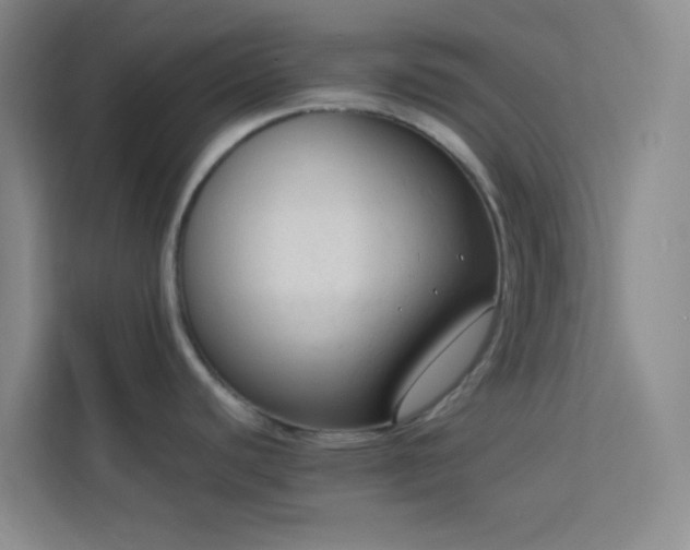 X0000114091440200910051416