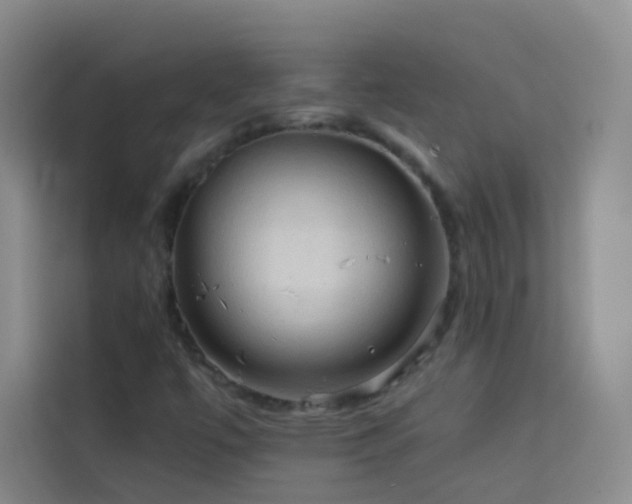 X0000114091447200910051415