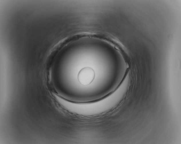 X0000114091448200910051415