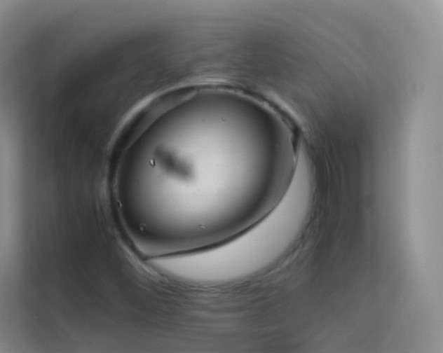 X0000114091452200910051415