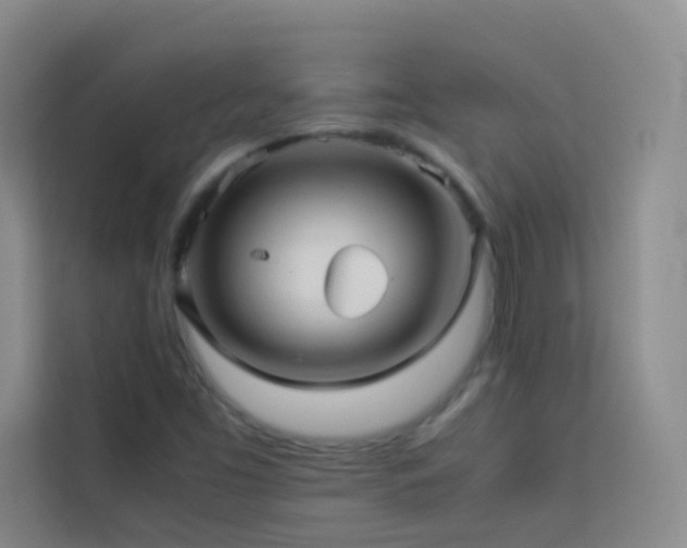 X0000114091453200910051415