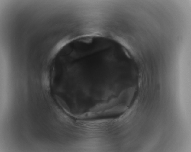 X0000114091455200910051415