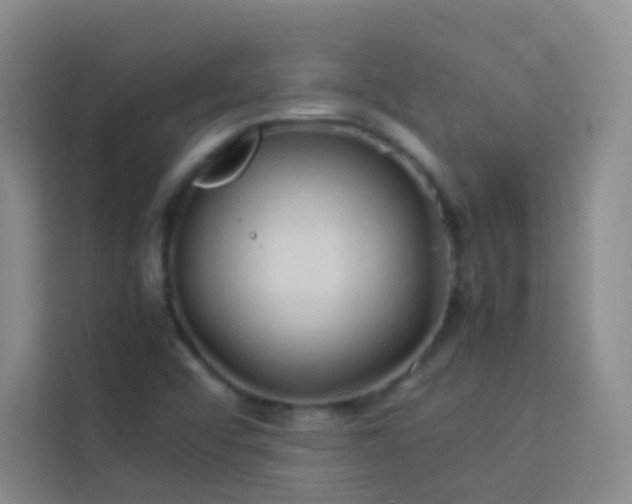 X0000114091456200910051415