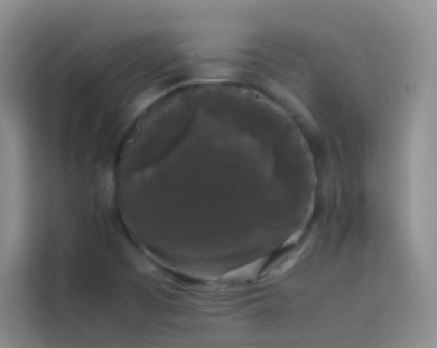 X0000114091457200910051415