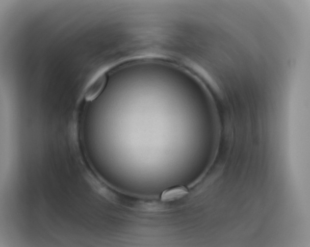 X0000114091460200910051415
