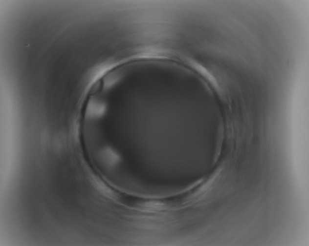 X0000114091463200910051415