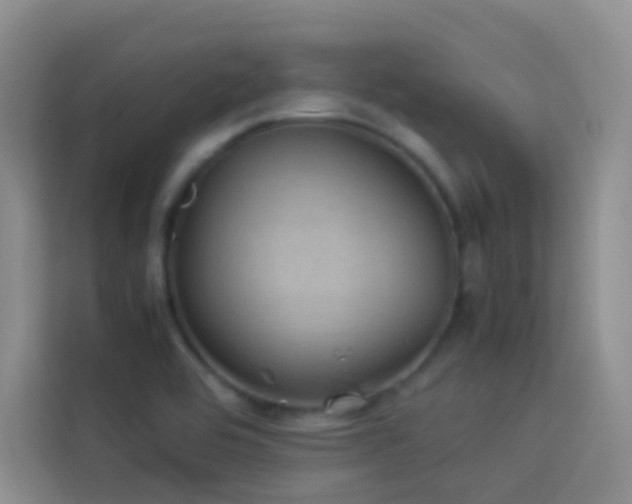 X0000114091464200910051415