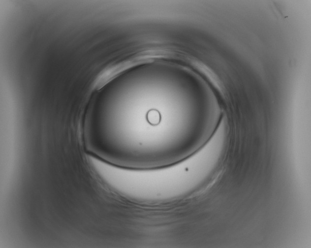 X0000114091465200910051415