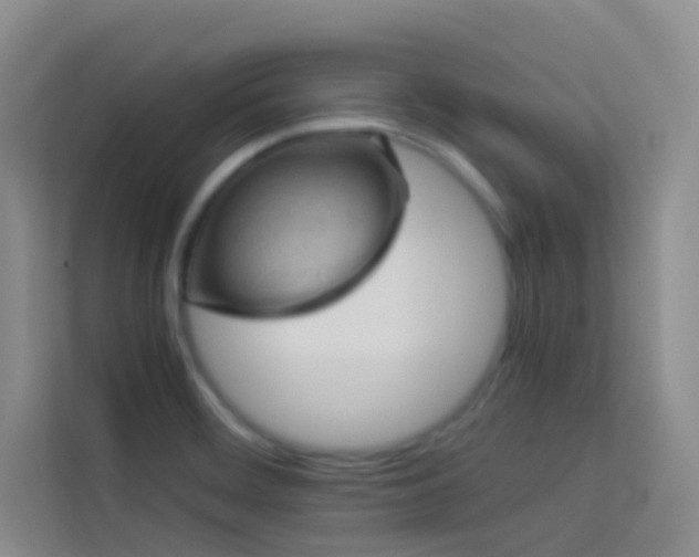 X0000114091468200910051415