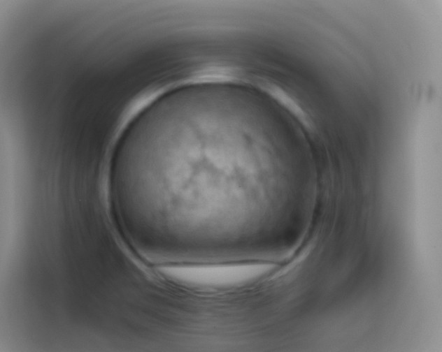 X0000114091469200910051415