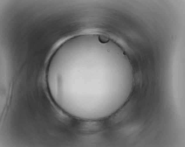 X0000114091470200910051415