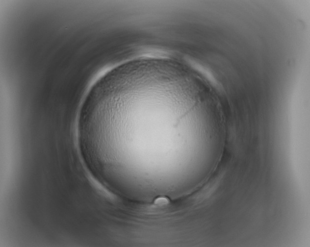 X0000114091471200910051415
