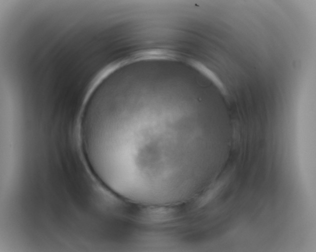 X0000114091474200910051415