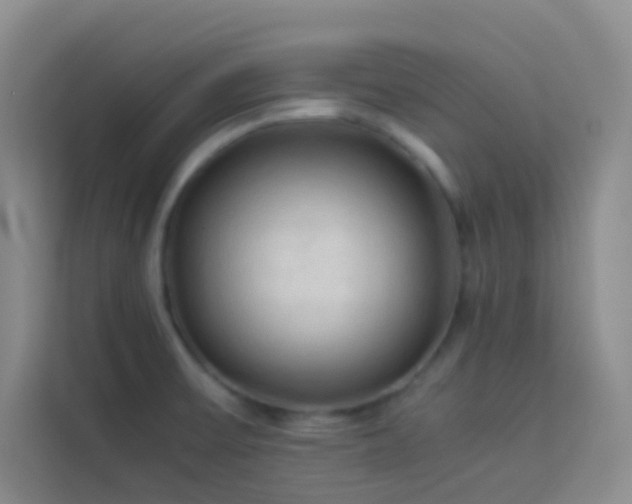 X0000114091475200910051415