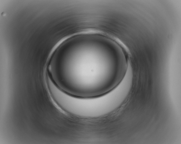 X0000114091476200910051415