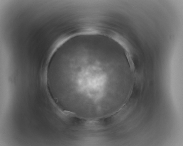 X0000114091477200910051415