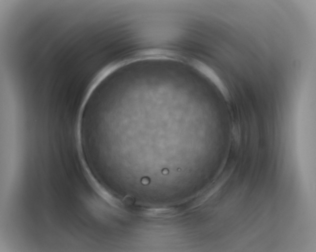 X0000114091482200910051415