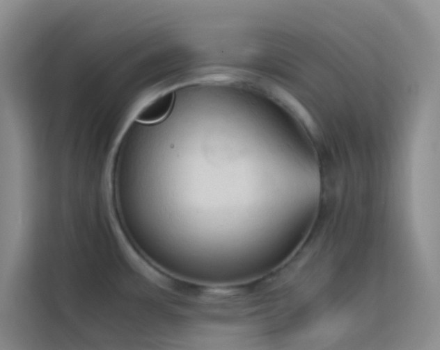 X0000114091483200910051415