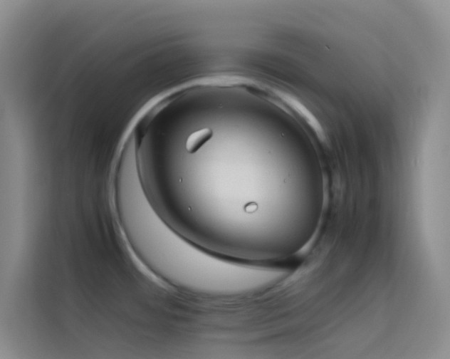 X0000114091484200910051415