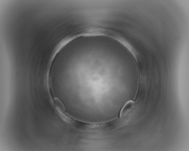 X0000114091485200910051415
