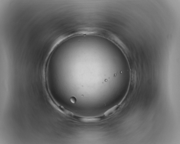 X0000114091487200910051415
